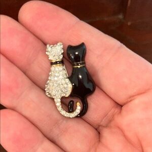 Cat broach pin cats
